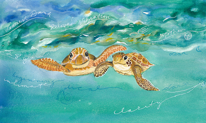 DSWturtles110-6