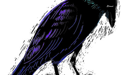 Ravens-unkindness or magicians?